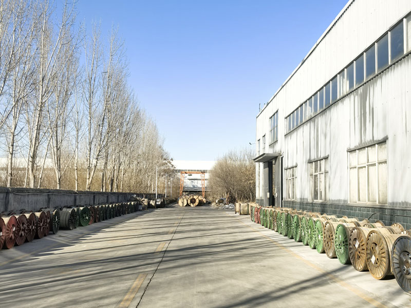 微信圖片_20250116081233